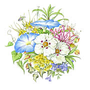 Yellow Summer Border