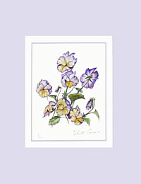 Viola Rebecca