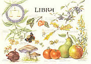Libra 24 Sep - 23 Oct